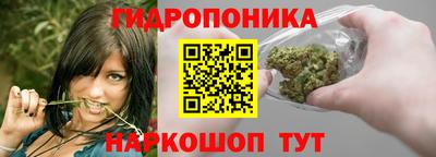 гидра Можга