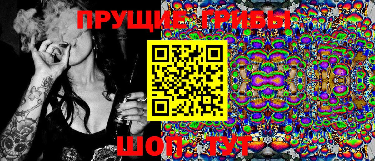 Галлюциногенные грибы Cubensis  Вход с VPN  Электросталь 